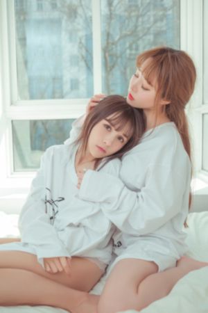 泰迪熊1高清免费完整版在线观看