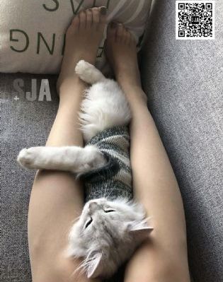 缘之空免费观看完整版在线全集