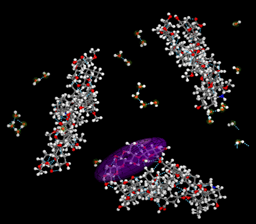 基于MS的forcite模块进行抑制剂浮选煤泥分子动力学模拟