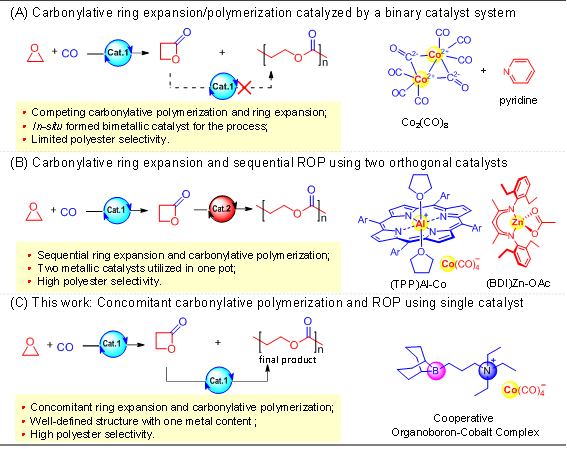 浙大伍广朋研究员课题组Macromolecules：环氧烷烃和一氧化碳共聚合制备聚羟基脂肪酸酯