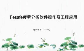 fesafe疲劳分析软件操作及工程应用