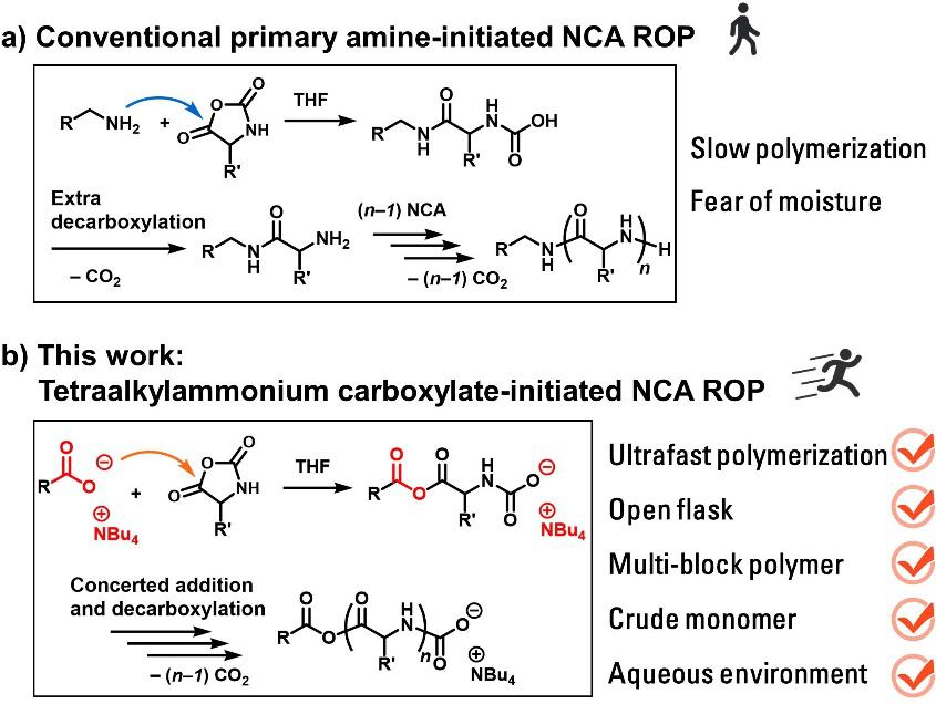 华东理工大学刘润辉教授课题组Angew：羧酸盐作为一类引发剂可实现超快速NCA开环聚合制备多肽聚合物