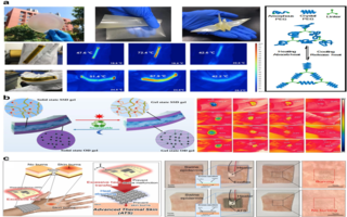 可穿戴热管理应用的功能材料和创新策略