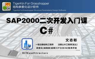 C#+SAP2000二次开发入门课